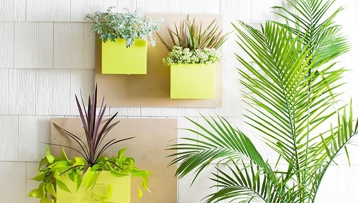 Цветущие стены как сделать настенный плантатор своими руками (цвести, стен, настенный, плантатор, наружных работ, вертикальных планок) настенный