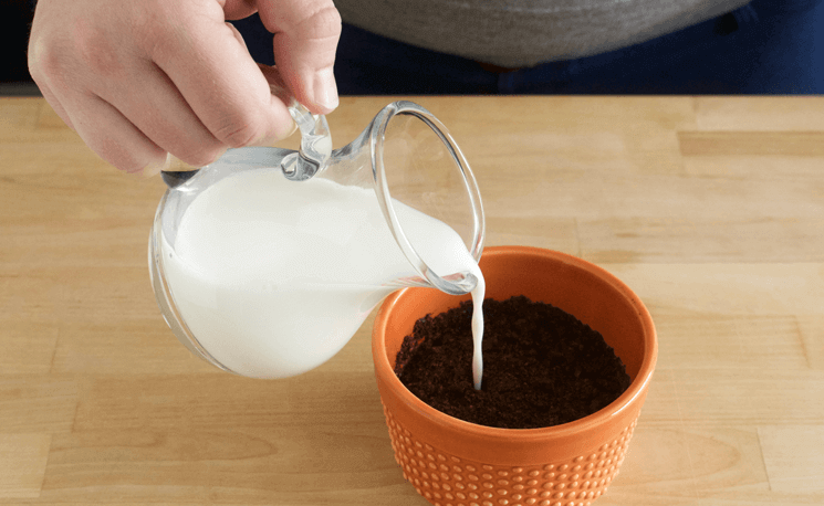 20 полезных вещей, которые вы можете сделать с кофейной гущей (кофейный, гуща, кофейную гущу, кофейной гущи) кофейный