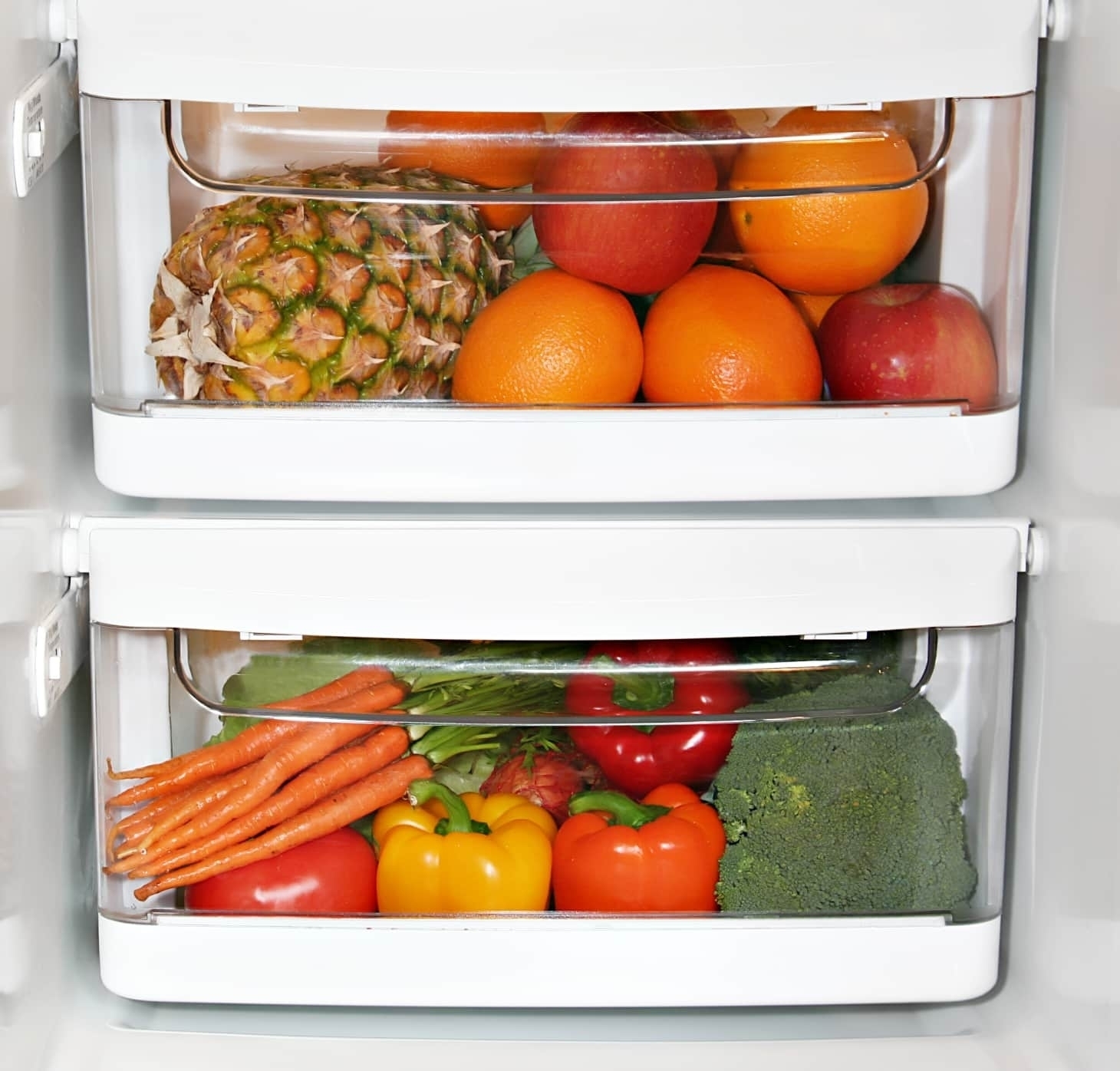 Эксперты выяснили, где заводится 80% бактерий в каждом холодильнике