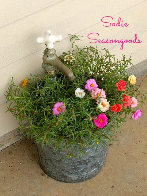 Оригинальная цветочная клумба для вашего сада из старого ведра (цветочный, клумба, ведро, цветочная клумба, вашего сада) цветочный